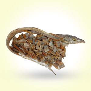 ছুরি শুটকি (মাঝারি) । Churi Shutki